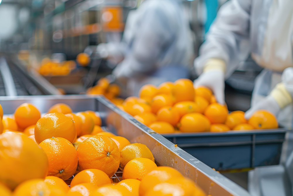 Marketing digital para pymes